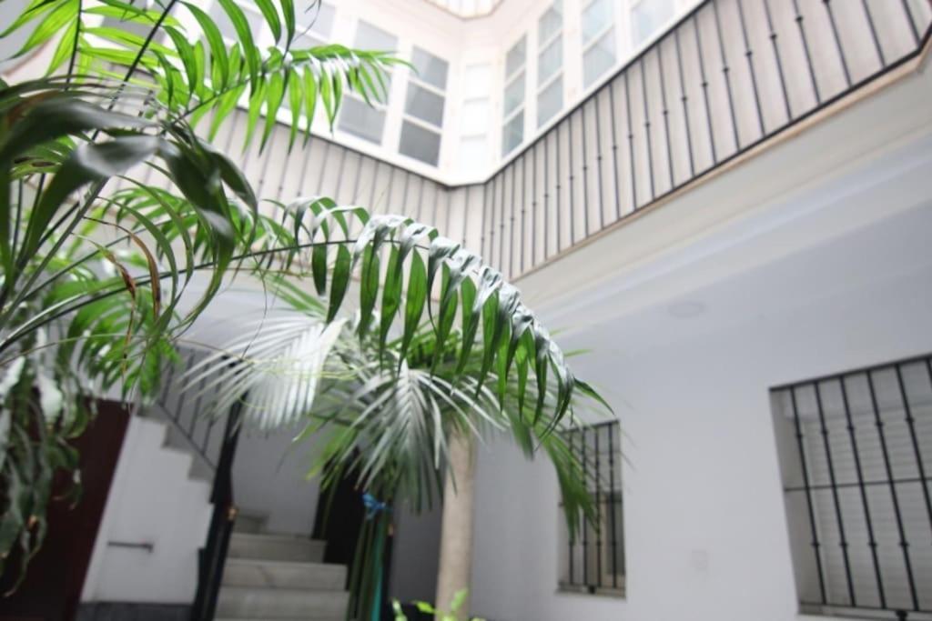 Appartement Feduchy 10 Min De La Playa 2 Banos Cadix